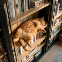 Double Bookcase with Rolling Ladder and 6-Tier Shelves
