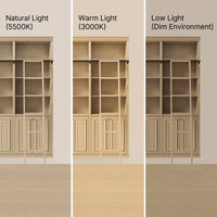 Bookcase with Rolling Ladder and Storage Cabinets