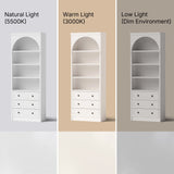 Relievo Arched Display Cabinet