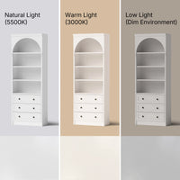 Relievo Arched Display Cabinet