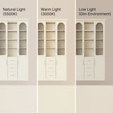 Arched Display Cabinet with Mixed Storage and Integrated Lighting