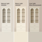 Arched Display Cabinet with Glass Doors and Integrated Lighting