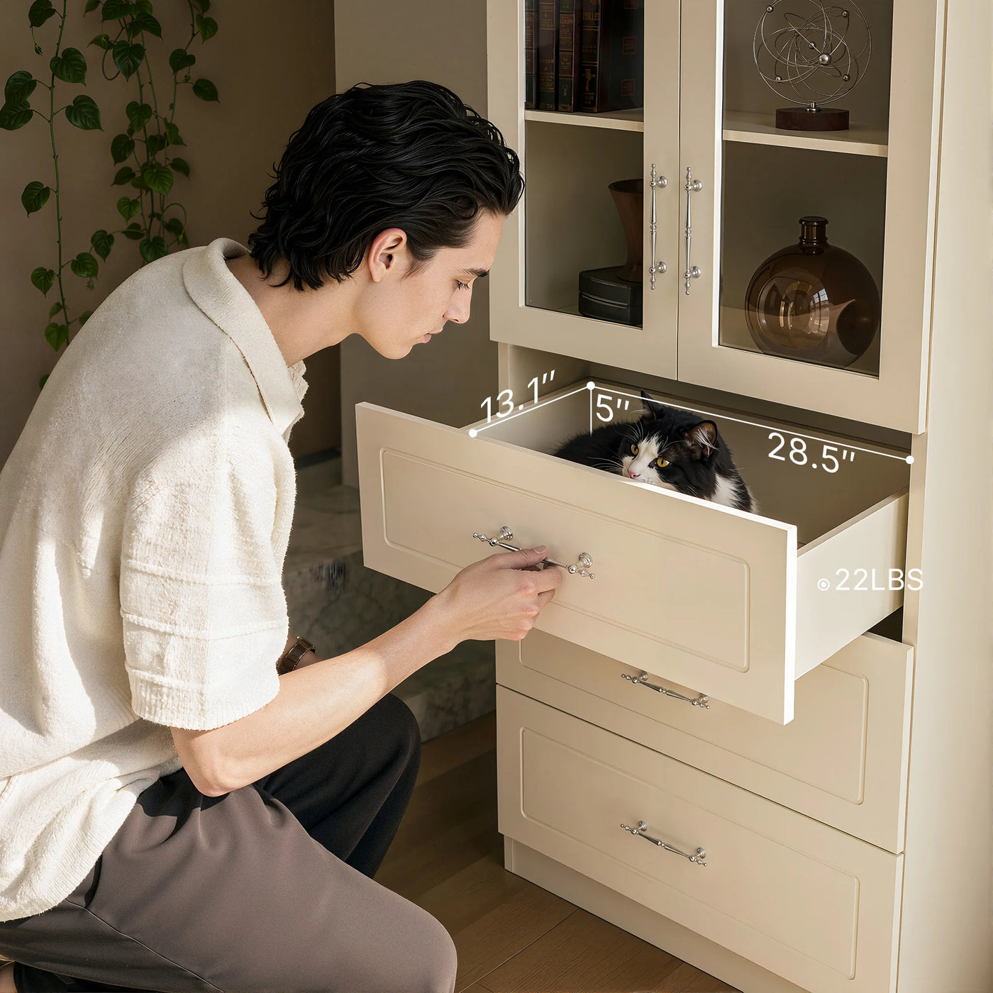 Arched Display Cabinet with Glass Doors and Integrated Lighting