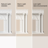 Relievo Grand Carved Fireplace Mantel