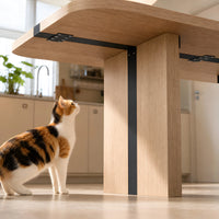 Rounded Edge Wood Grain Dining Table with Metal Frame