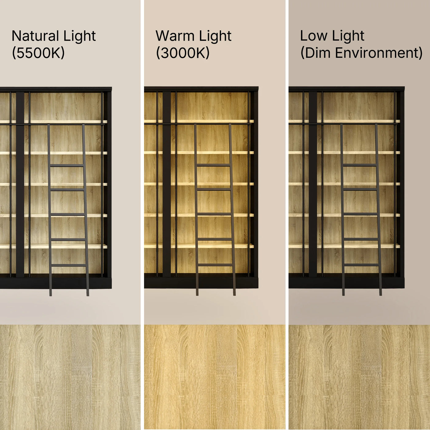 Double Bookcase with Rolling Ladder and 6-Tier Shelves