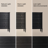 Curva 8-Drawer Double Dresser-Black