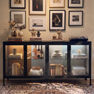 Storage Cabinet with Glass Doors and Metal Frame