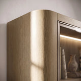 Curved Glass Display Cabinet with LED Light