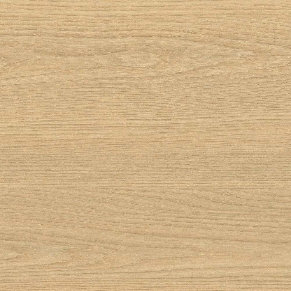 Yellow Elm