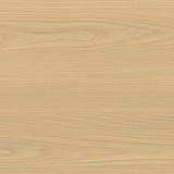Yellow Elm